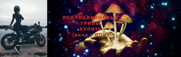 ECSTASY Алзамай