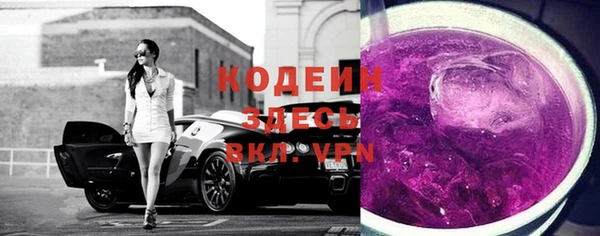 ECSTASY Алзамай