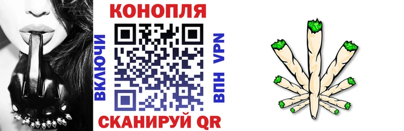 MEGA как найти закладки Новоузенск Канабис White Widow